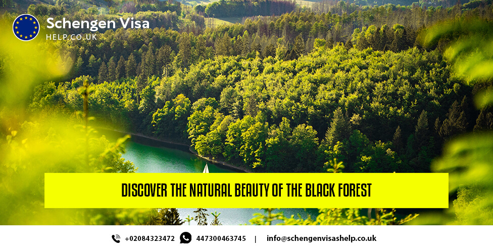 Discover the Natural Beauty of the Black Forest